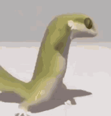 picture of a green Lizard dancing