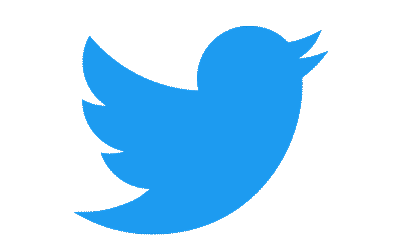 the twitter.com logo